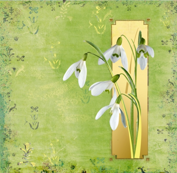 Image Hosted by PiXS.ru